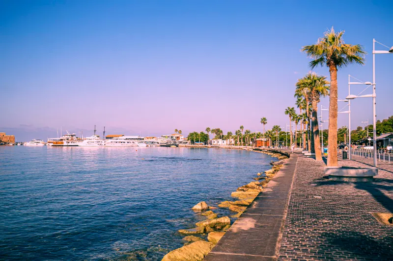 Palm-lined promenade and boats at Paphos Harbour